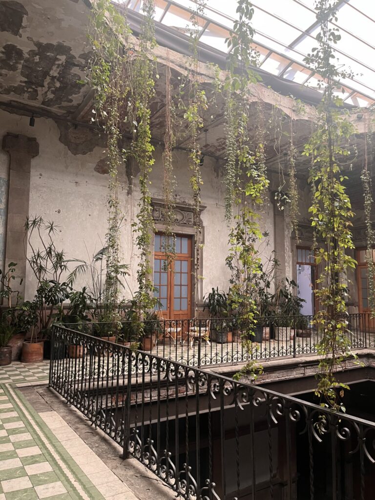 plants all over Proyecto Público Prim building